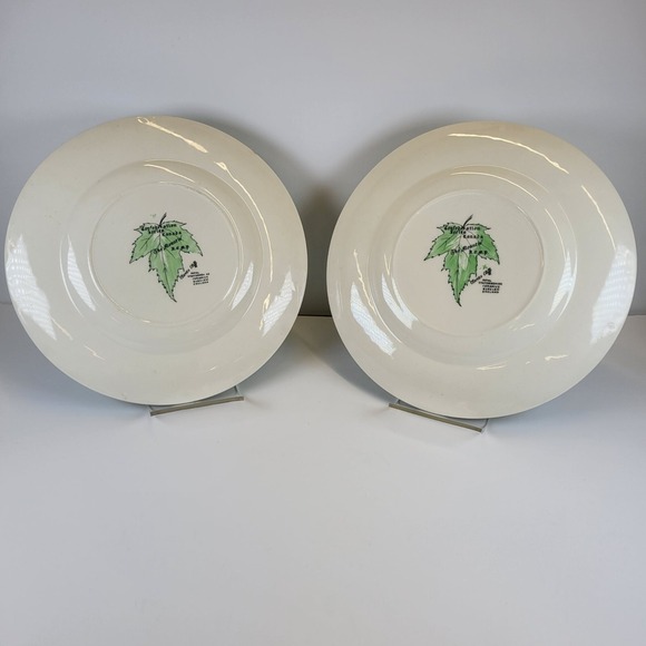 Canadian Mountie Vtg Royal Staffordshire Plates Set of 2 Clarice Cliff 10.5" - Picture 4 of 7